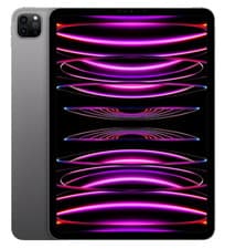 iPad Pro 11" (4. Gen, M2)