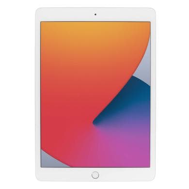iPad (8. Gen)