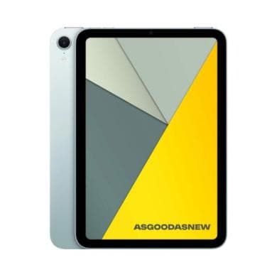 iPad mini (6. Gen)