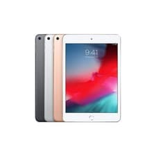 iPad mini (5. Gen)