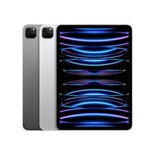 iPad Pro 11" (4. Gen, M2)