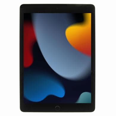iPad (9. Gen)