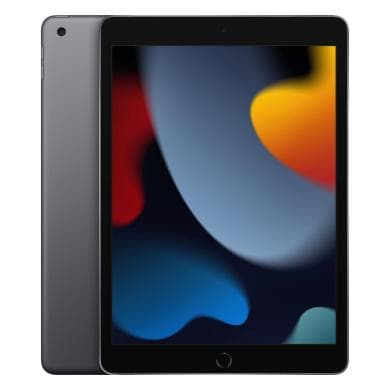 iPad (9. Gen)