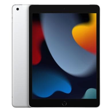 iPad (9. Gen)
