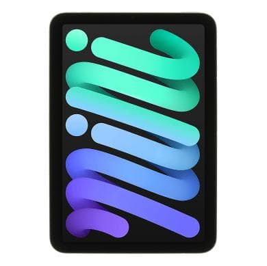 iPad mini (6. Gen)