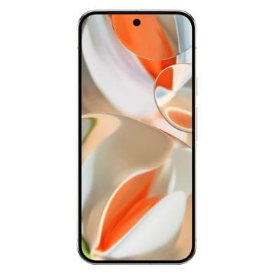 Pixel 9 Pro XL